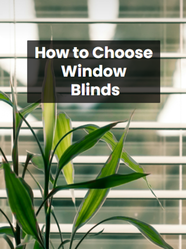 5 Amazing Ways: How to Choose Window Blinds