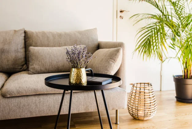 How To Decorate Living Room With Plants