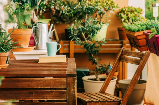 How to Decorate Small Balcony with Plants