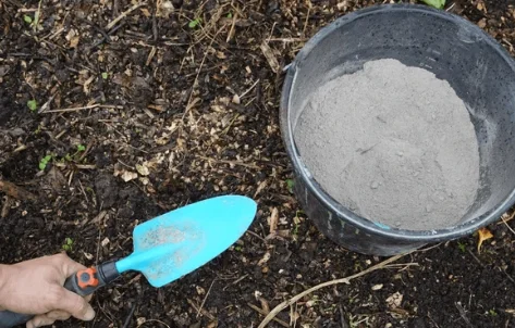 benefits of using wood ash in the garden