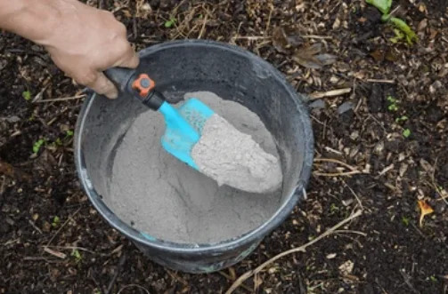 ash in garden soil