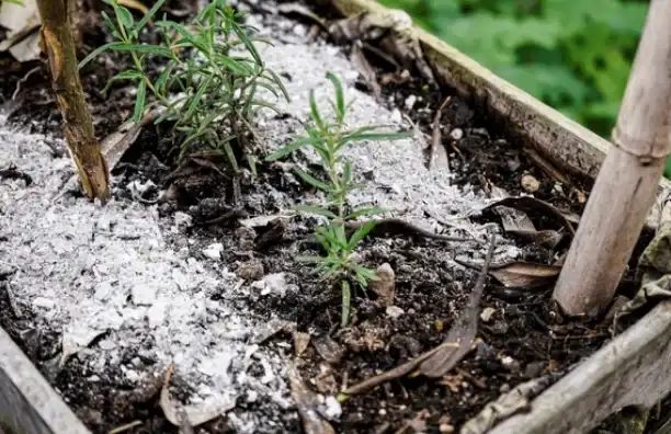 benefits of wood ash in the garden